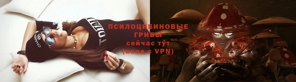 сатива Володарск