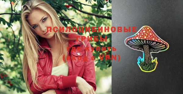 прущая мука Вязники