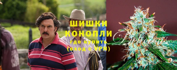 трава Вязьма