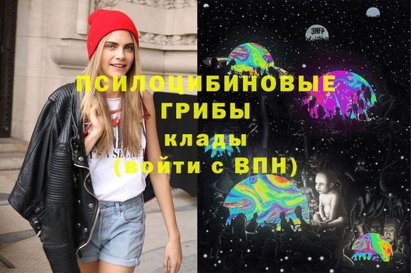 тгк Вяземский
