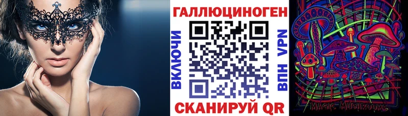 цены   Дигора  Галлюциногенные грибы Psilocybe 